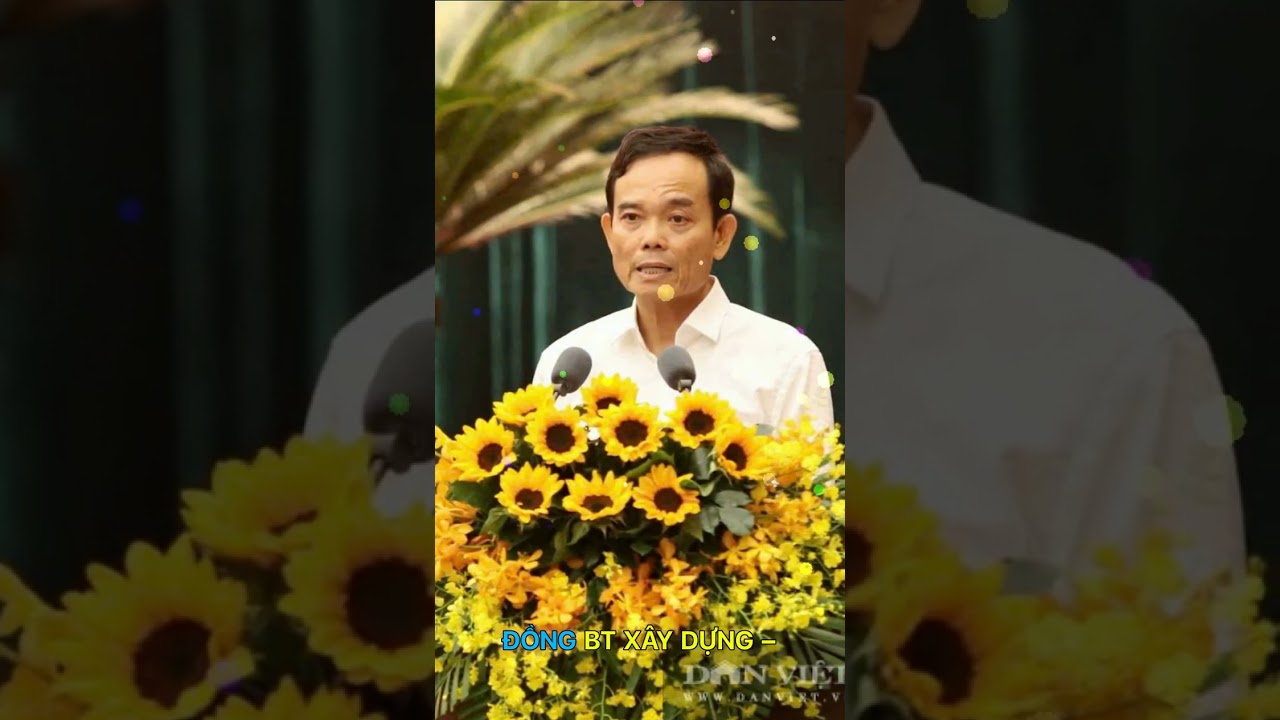 Nàng Thương Review: Thành Ủy TP HCM Thống Nhất Chủ Trương XD Đường Vượt Biển