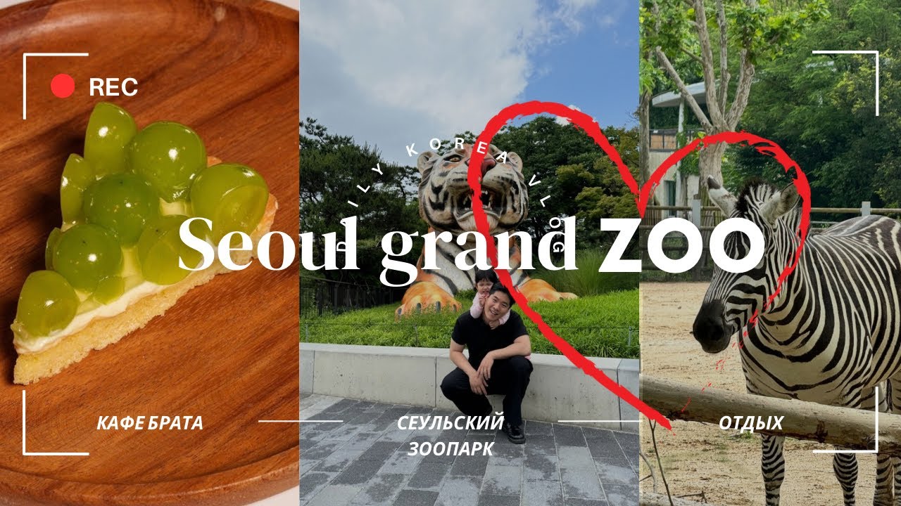KOREA VLOG/ САМЫЙ ОГРОМНЫЙ ЗООПАРК В Корее