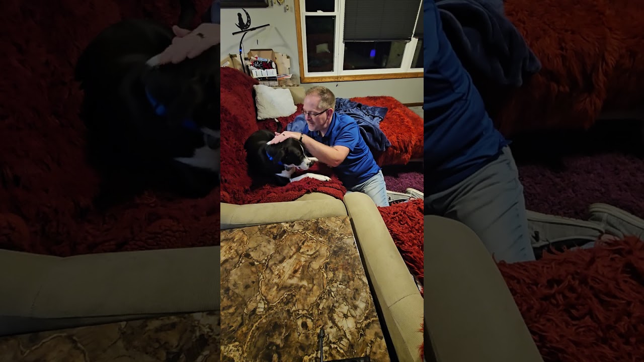 Cookie Time with Tippy 02/26/2026