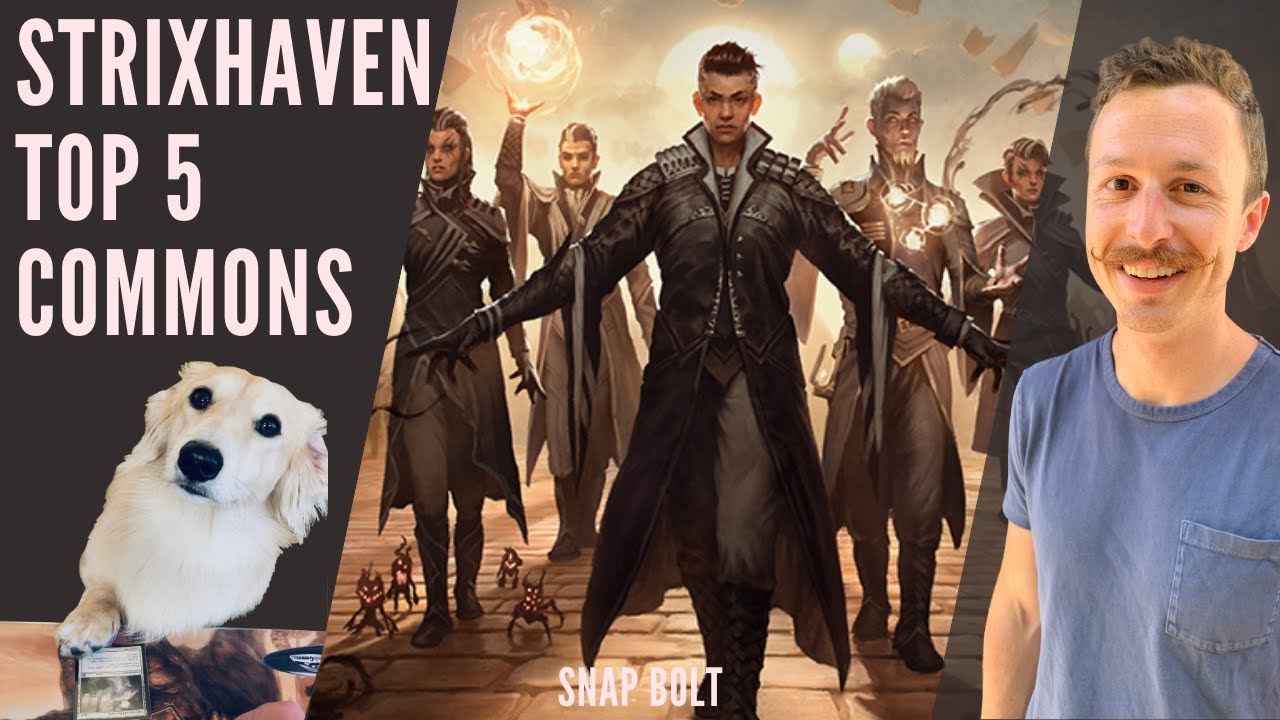TOP 5 COMMONS FROM STRIXHAVEN THAT HAVE IMPACTED PAUPER!