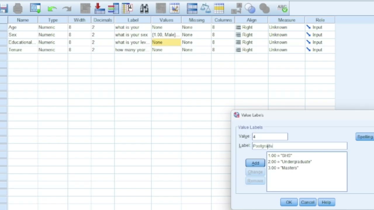 SPSS Beginner Tutorial: Data Entry, Importing & Setting Up Questionnaires