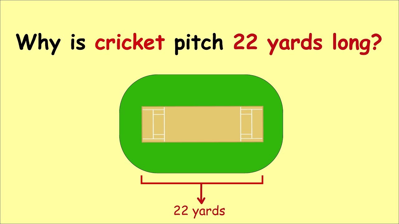 Why is Cricket Pitch 22 Yards Long? | Most Brilliant IAS Interview Questions with Answers