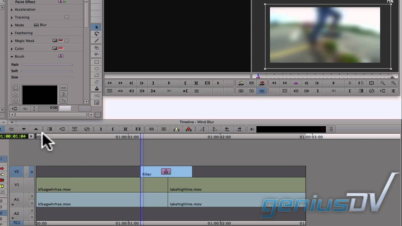 Wind Blur effect for Avid Media Composer