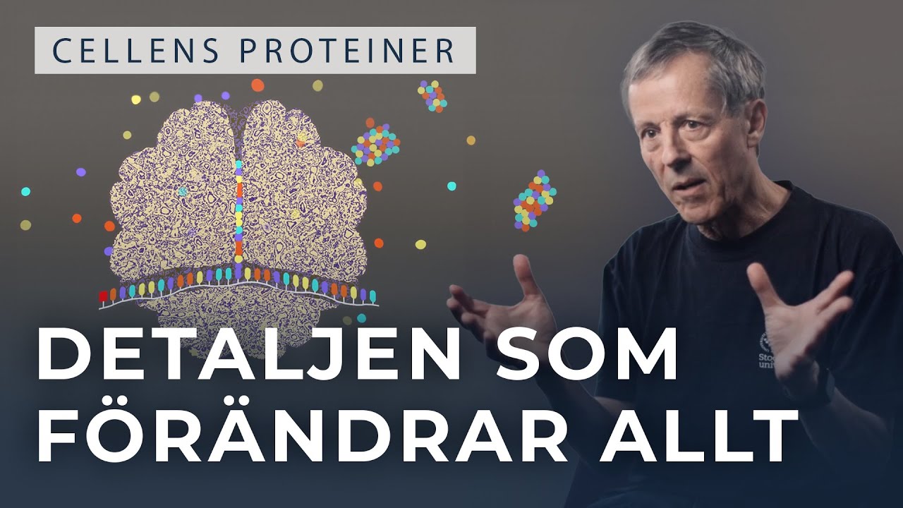 Grundforskning för att stoppa sjukdomar som Alzheimer och ALS
