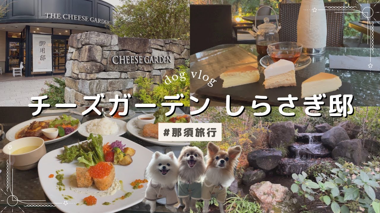 【那須旅行】那須に来たら絶対行くべき❕チーズガーデン内のおしゃれなレストランしらさぎ邸でランチとチーズケーキの食べ比べ｜テラス席犬OK