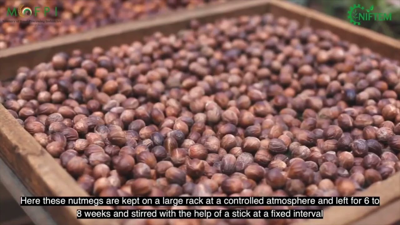 NUTMEG (MALAYALAM) I NIFTEM PMFME SCHEME