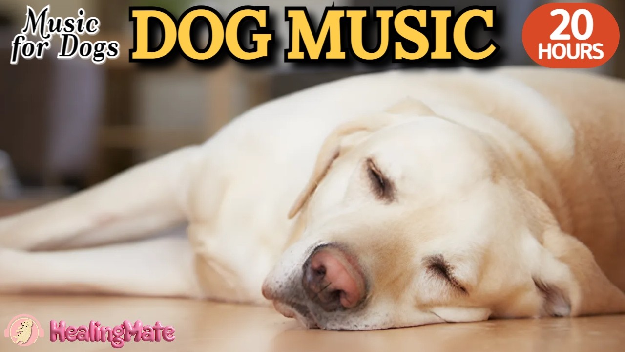 Música para dormir perros durante 20 horas🐶💖Música para aliviar la ansiedad por separación de perros