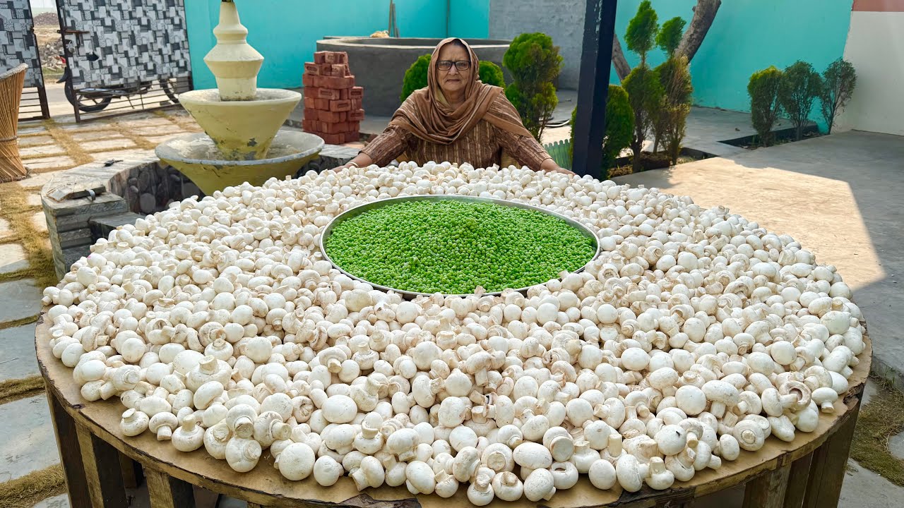 100KG MUSHROOM MASALA || Easy and Quick Mushroom Recipe || Veg Village Food