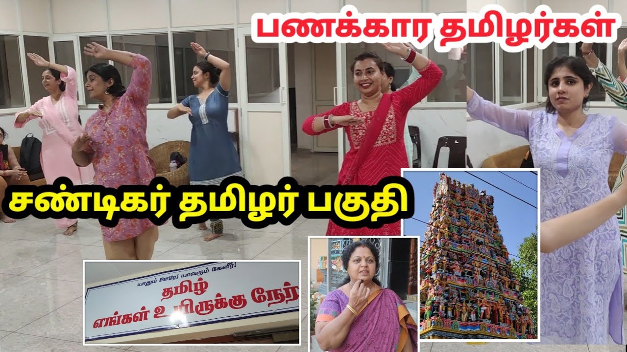 தமிழர்கள் வசதியாக வாழும் சண்டிகர் | Chandigarh Tamil Area | चंडीगढ़ तमिल क्षेत्र