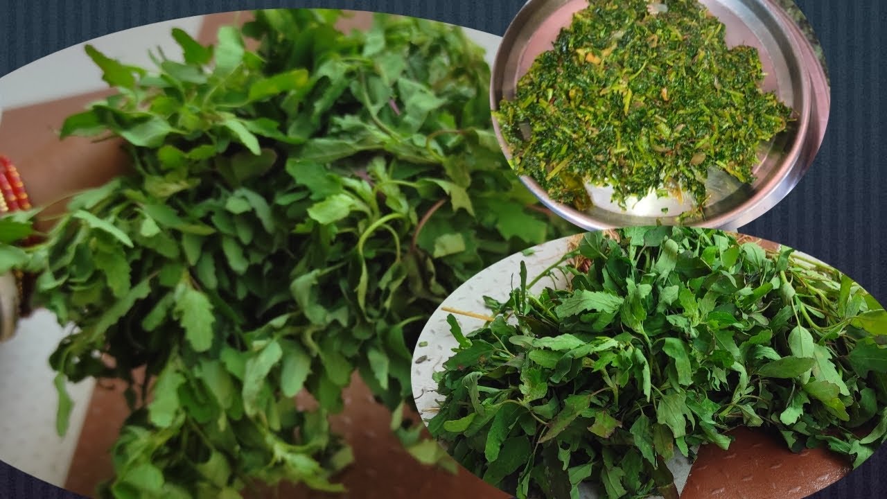 Bathua saag ki kuch anokhi Recipe||  बथुआ सांग की नई तरीके की बेगोली रेसिपी|| new style se bnaye 