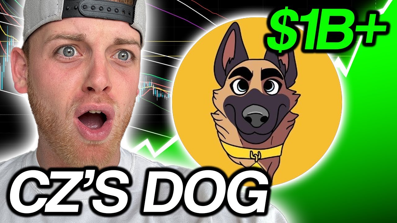 CZ&rsquo;s Dog Coin ($BROCCOLI) | The Next Big Meme Coin? | Massive Hype Building!
