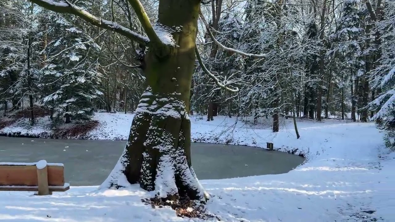Nederland is prachtig! ❄️ Winter wonderland in Slochteren