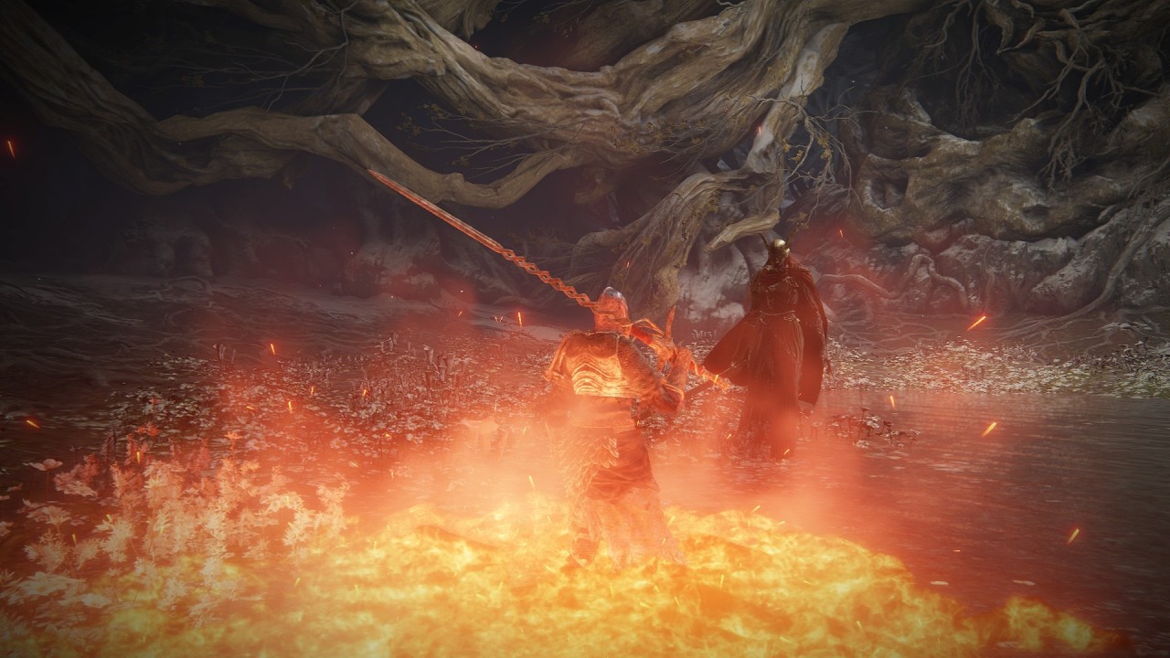 Soul of Cinder vs Malenia Blade of Miquella lvl 200 build