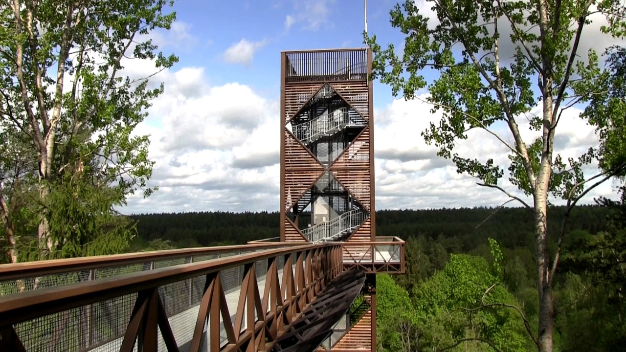 Medžių lajų takas. Turizmo objektas, kurį verta aplankyti