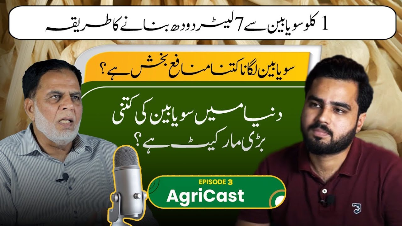 Soya Bean Profitability | Soy Milk in Pakistan |Detail Analysis on Soya Bean Industry |AgriCast EP 3