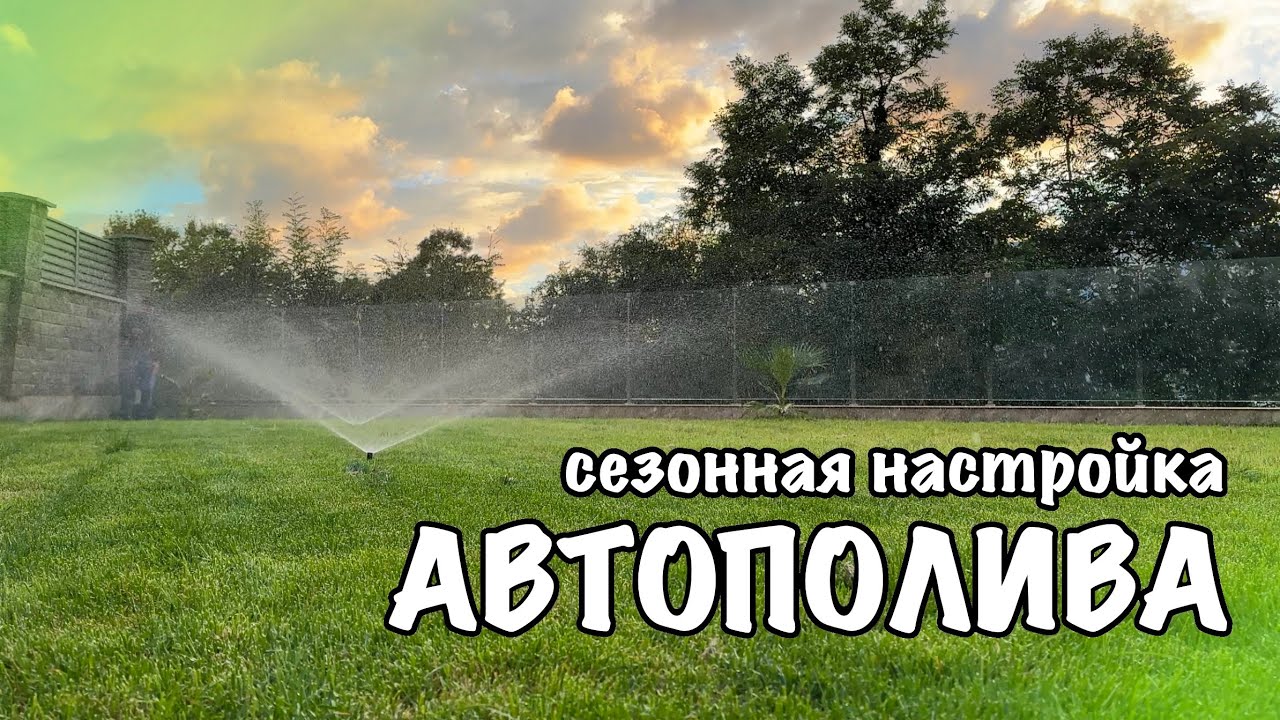 Сезонная настройка полива — зачем и как? 🔧🌦️