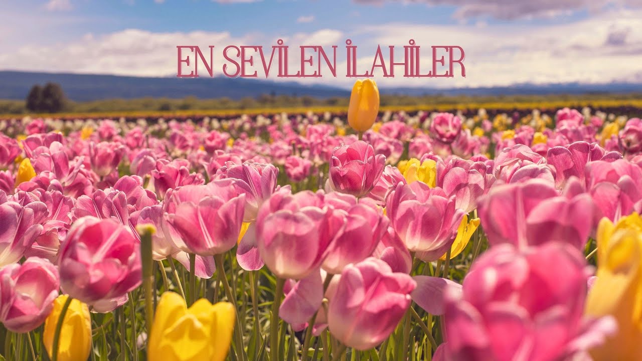 En Sevilen İlahiler | Marifet FM