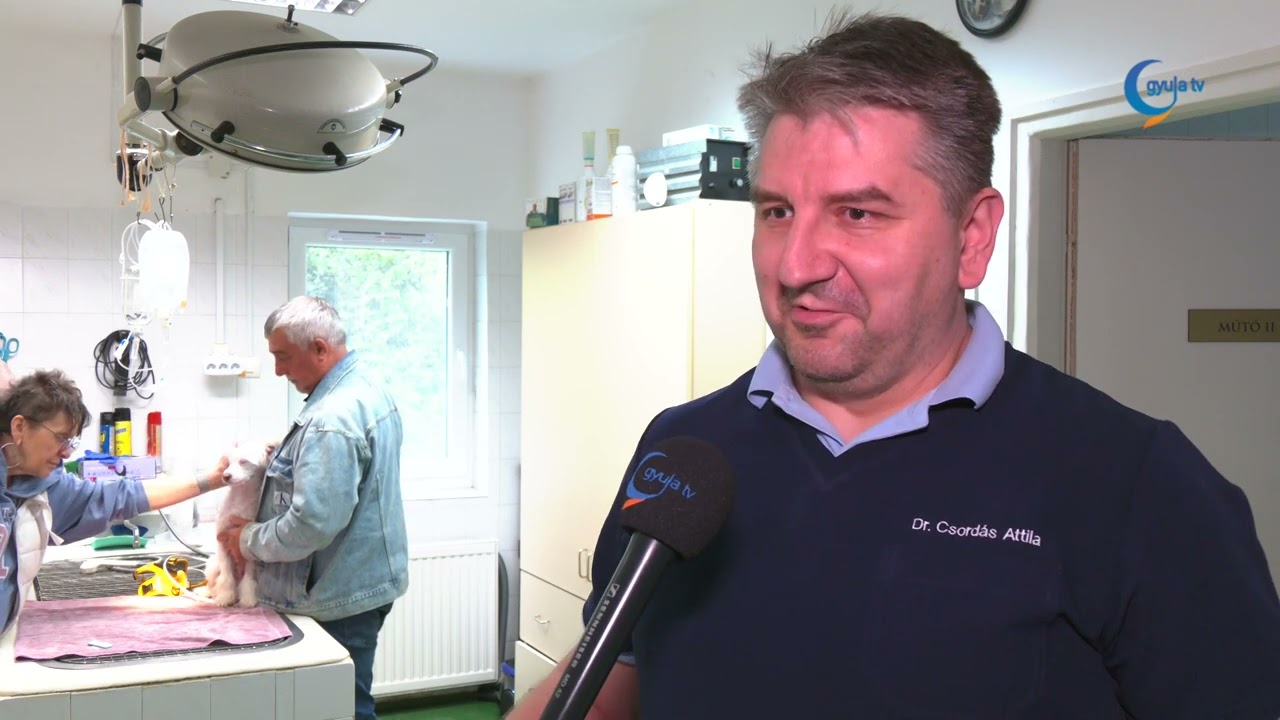 Nagyobb odafigyelést igényel az állatokra a szívférgesség