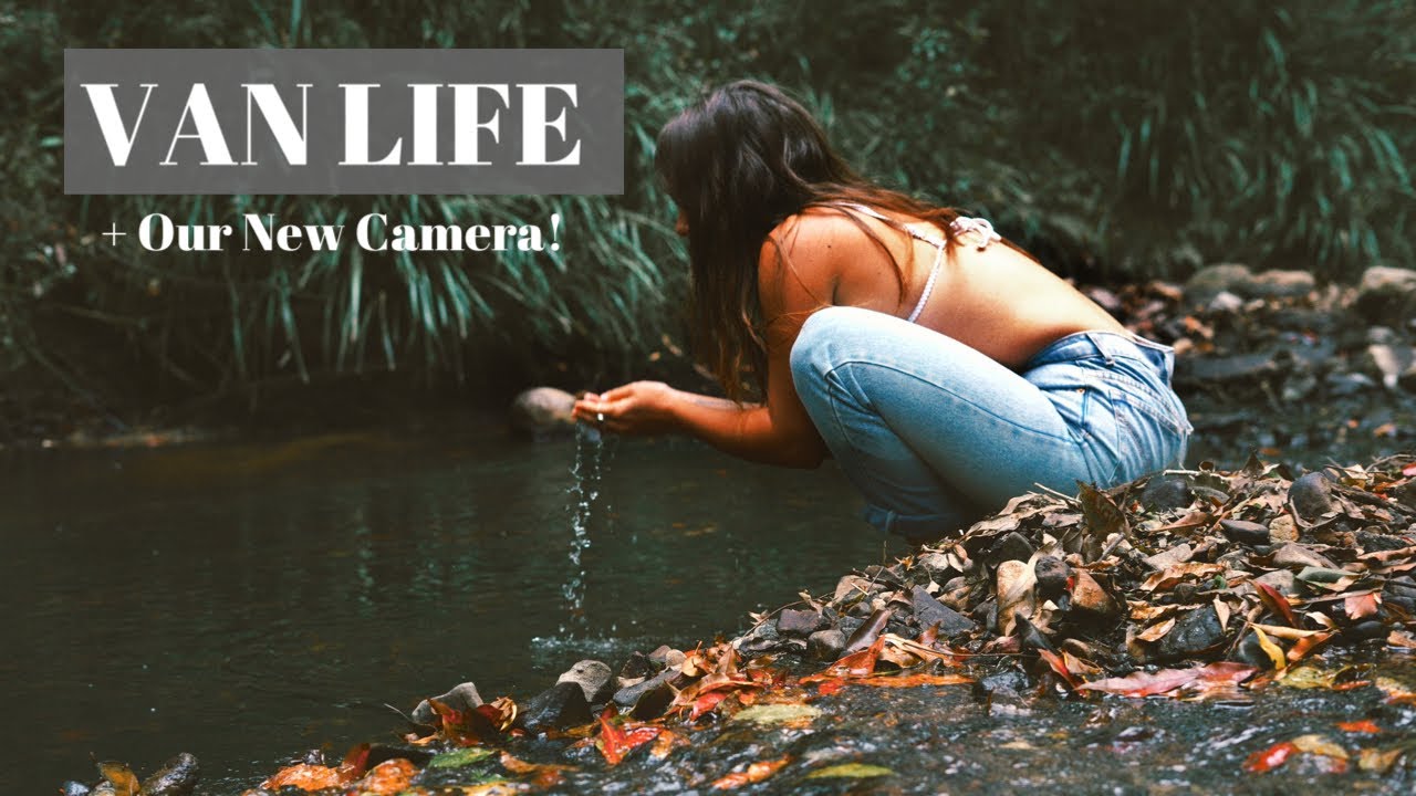 CARAVAN LIVING in The Hinterland // Epic Hipcamp in QLD // We LOVE Our New Vlogging Camera! Ep16