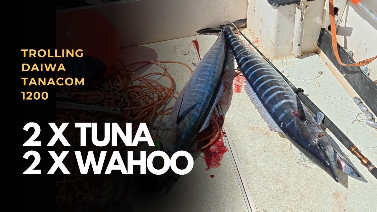 Daiwa tanacom 1200 trolling for wahoo and  tuna