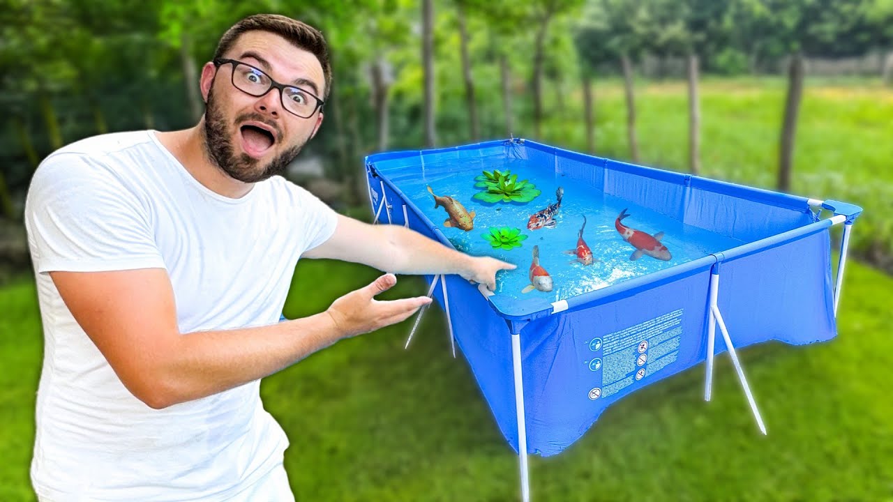 I'm turning my swimming pool INTO A FISH POOL!