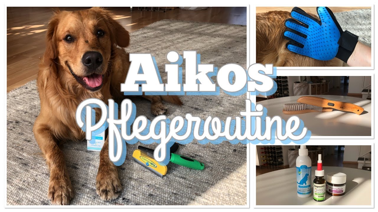 Aikos PFLEGEROUTINE / Fell-, Pfoten-, Augen-, Ohren- und Gebisspflege
