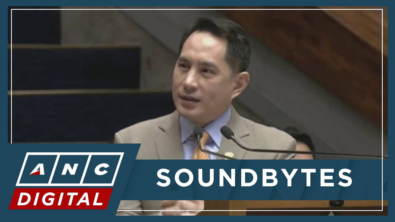 'Pagbigyan niyo po ako mag-explain': Adiong appeals to Erice as anti-dynasty debates heat up | ANC