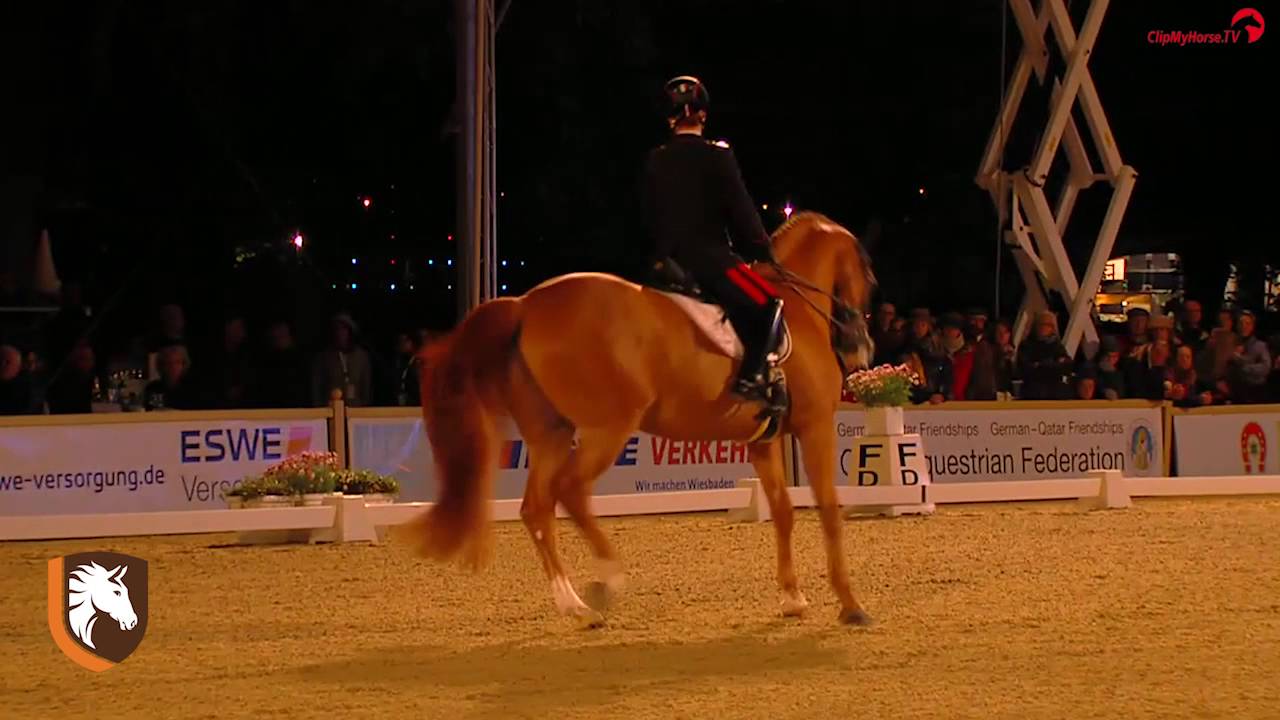 WDM Wiesbaden 2016 #3 in CDI 5* WDM VIAN GROUP GPF Valentina Truppa & Fixdesign Chablis