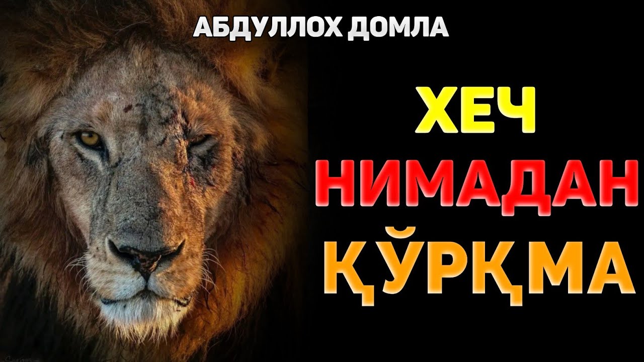 Ҳеч нарсадан қўрқма... ~Абдуллох Домла ~Abdulloh Domla 2025 |Ilmnuri #ilmnuri #abdullohdomla #namoz 