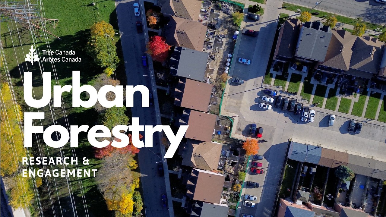 Urban Ecology and Sustainability, with Dr. Carly Ziter