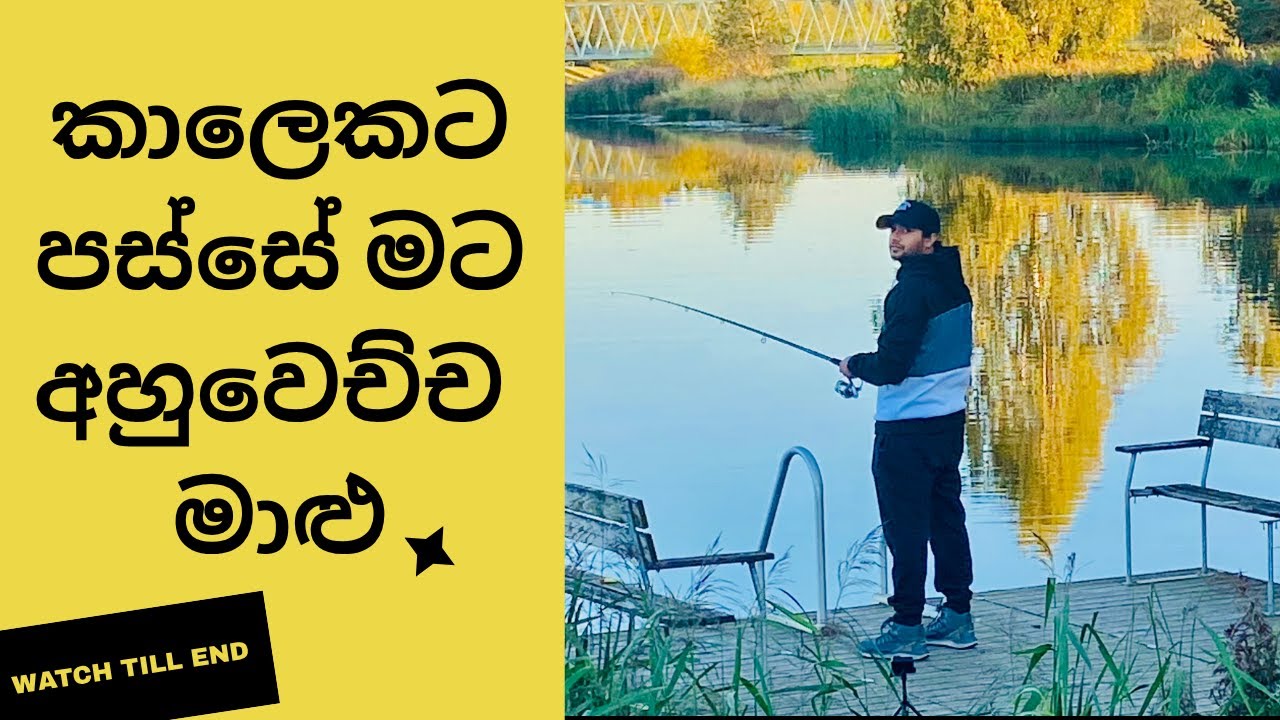කාලෙකට පස්සේ මට අහුවෙච්ච මාළු (A fish I caught after a while)