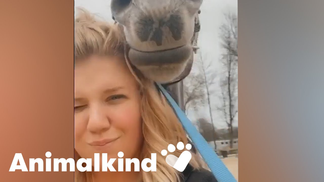 Hairstylist stunned to see her horse show up at work | Animalkind