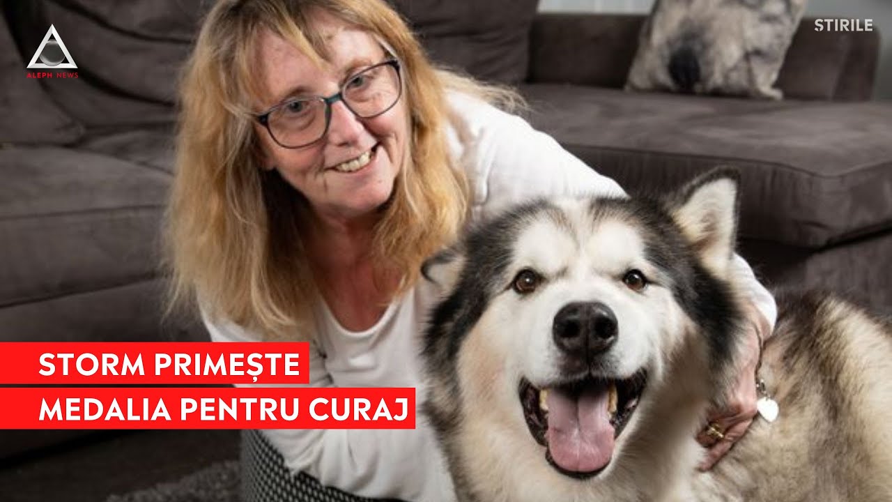 Cel mai curajos c&acirc;ine din UK a fost medaliat