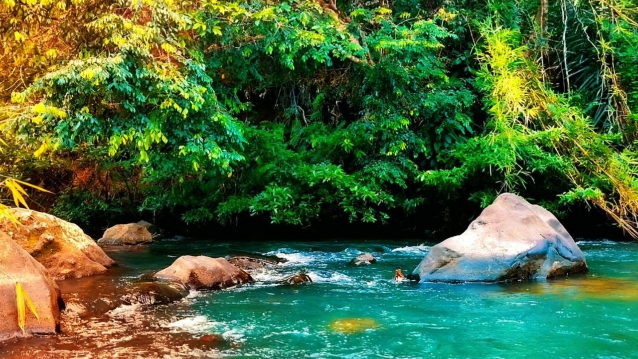Pure Flowing River Sounds | Relaxing Nature White Noise