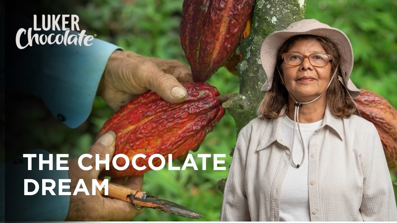 How sustainable cocoa farming changes lives | Luker Chocolate