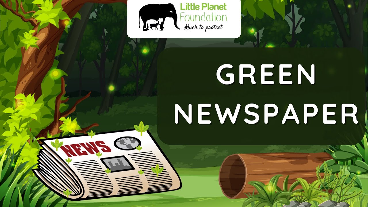 Discover the Eco-Friendly World of the Green Newspaper! | Little Planet Foundation #greennewspaper