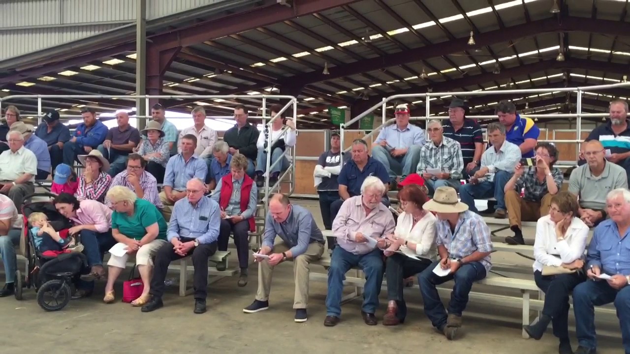 2016 Inaugural Australian White sale