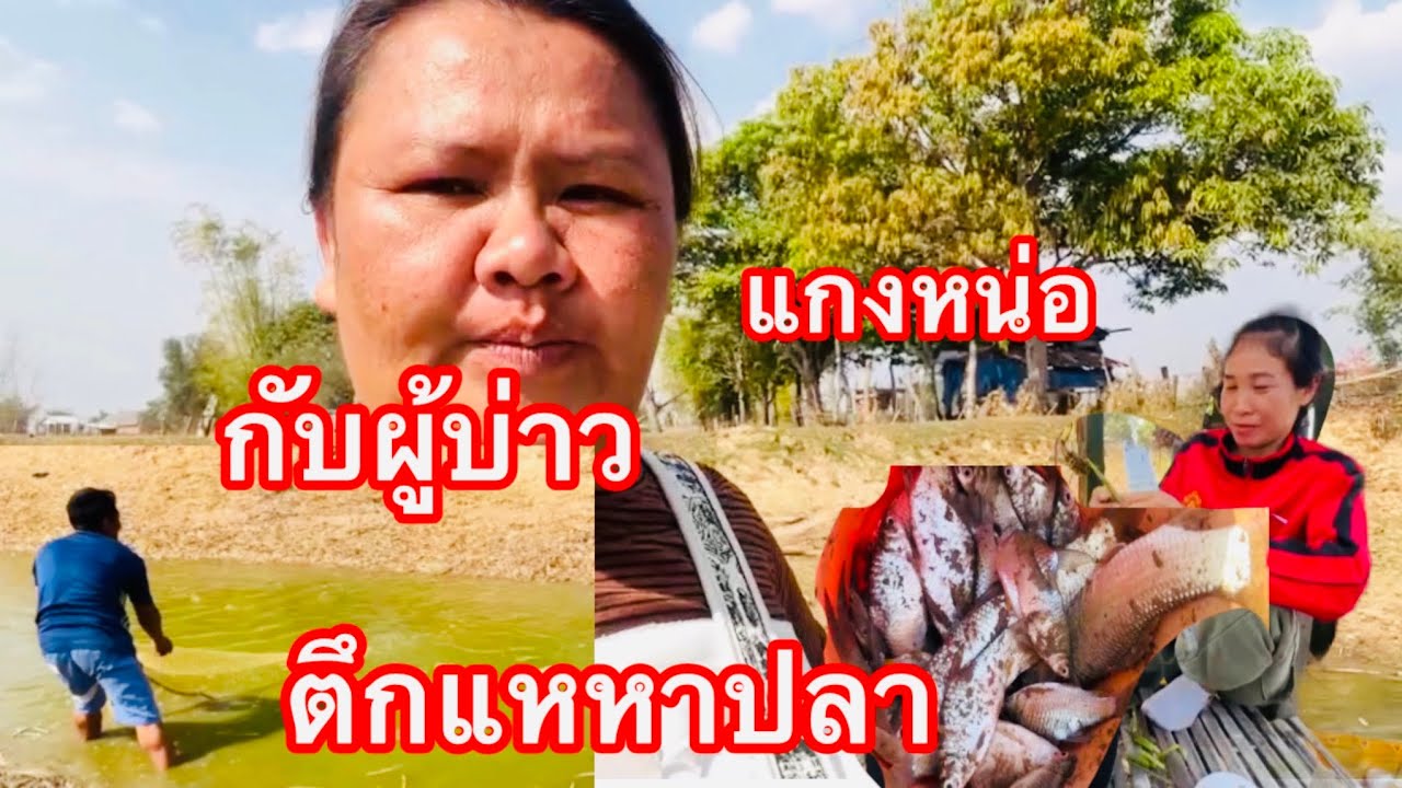 ไปเล่นบ้านเพื่อนทอดแหหาปลาในหนองน้ำหาหน่อไม้มาแกงกินสดๆบรรยากาศอยู่ทุ่งนาแดดร้อนแต่่มีความสุขจ้า