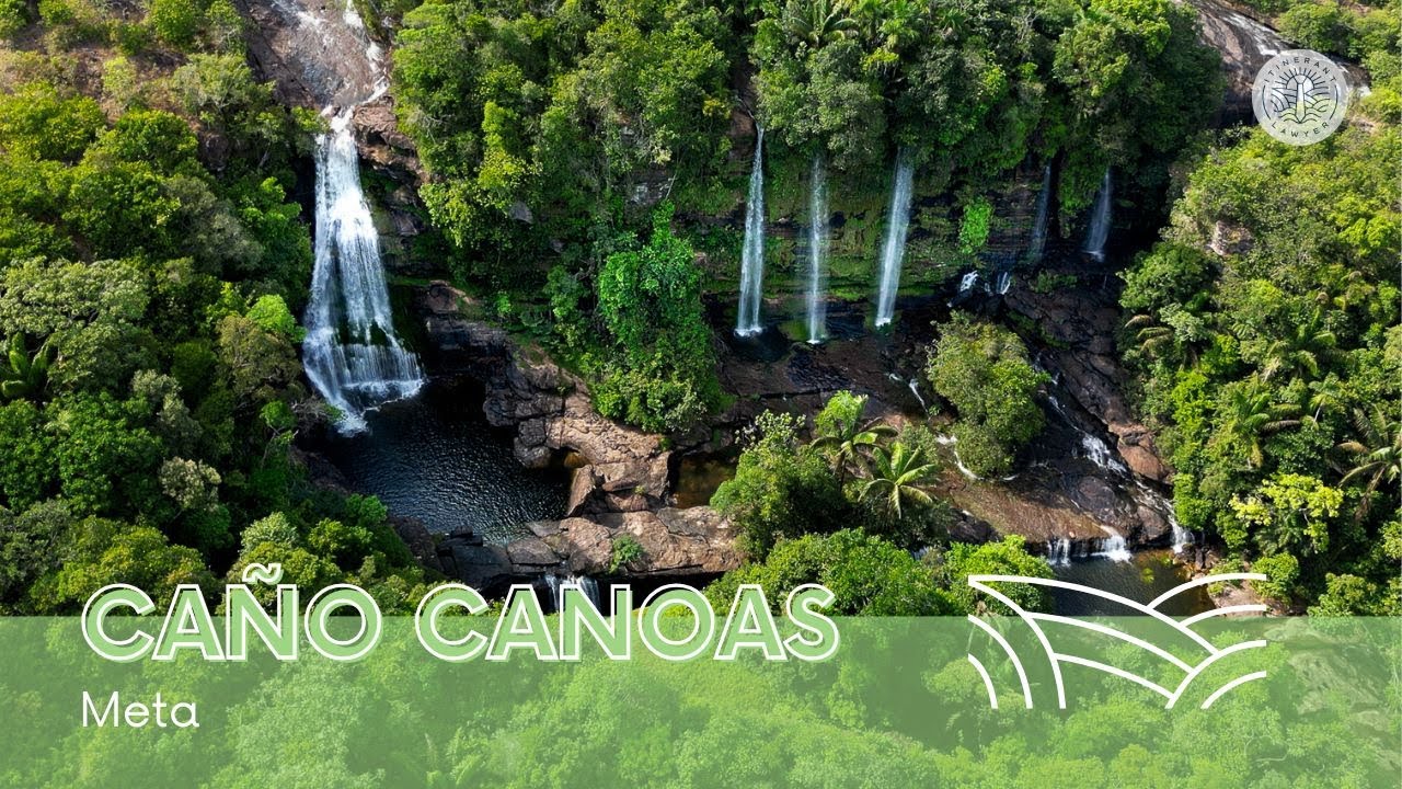 Caño Canoas: el último tesoro oculto en la selva de Colombia