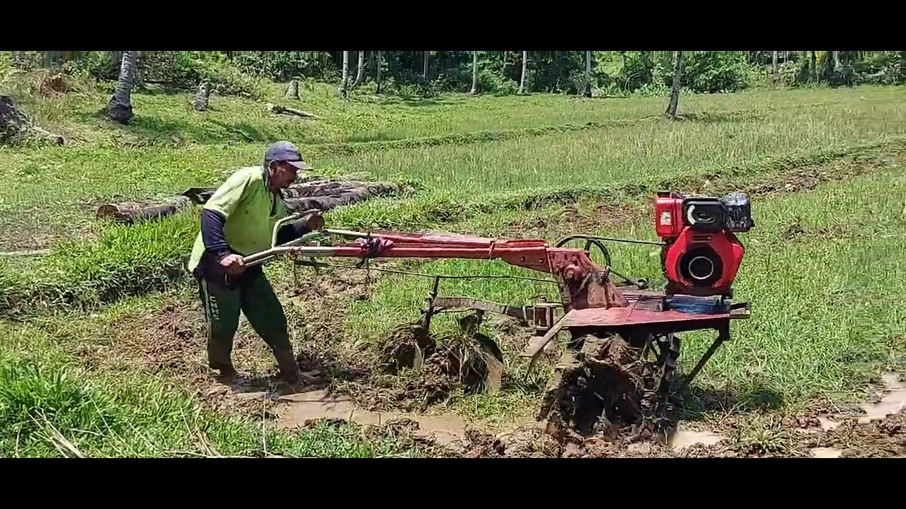 UMPISA NA NILA NI TATAY''MAG-ARARO SA PALAYAN...