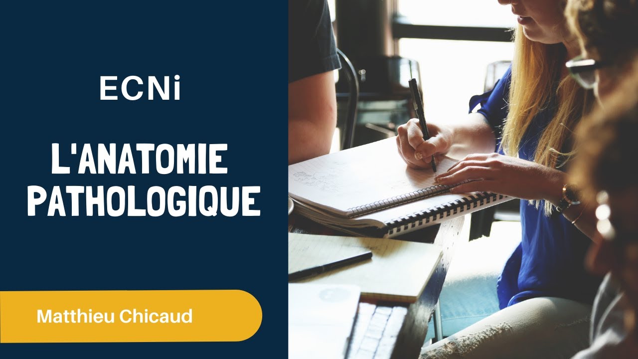 ECNi - Anatomie pathologique