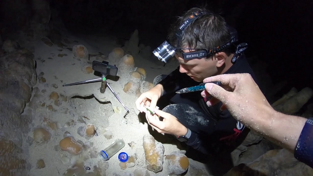 In Tropfsteinhöhle getaucht & Geocache gefunden (Cova des Coloms | Mallorca)