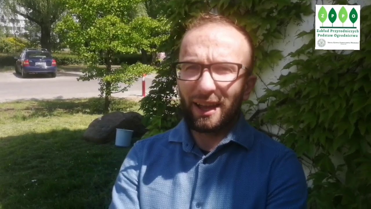 Fitoremediacja 🌿 13 Zajęcia terenowe