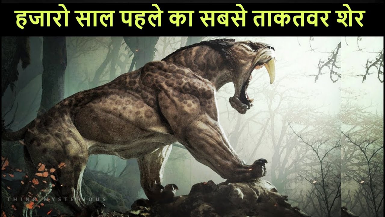 Sabertooth Tiger- जिस दानव से खौफ खाते थे बड़े बड़े जानवर | Mystery of Sabertooth Tiger