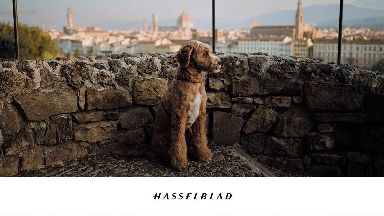 Noticing Florence and Venice | Episode 001  (Hasselblad 907x 100c & XCD 2,5/38V)
