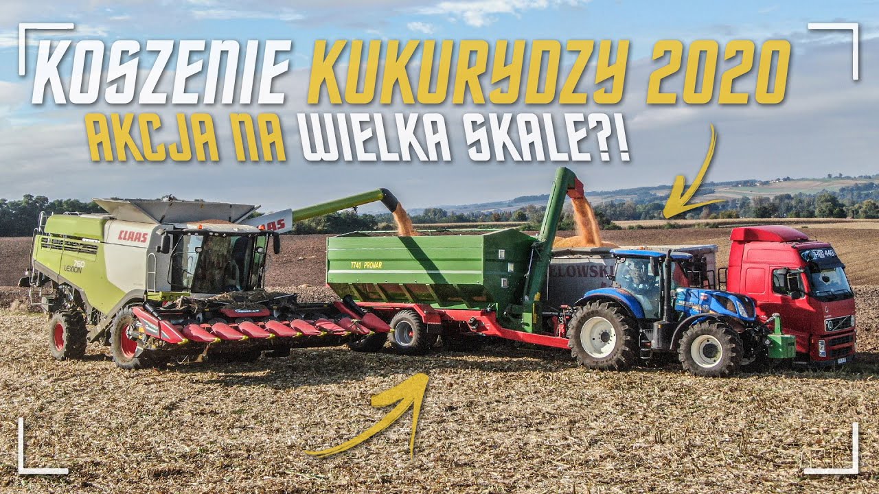 🇵🇱 Wielkie Koszenie kukurydzy na ziarno ☆Claas Lexion 760 ☆ I GR Kłębek I