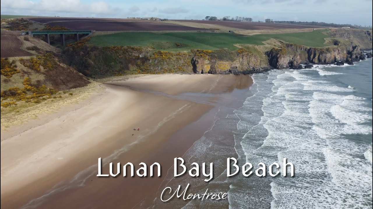 Lunan Bay Beach - Montrose - Scotland | 4K | DJI Mini2