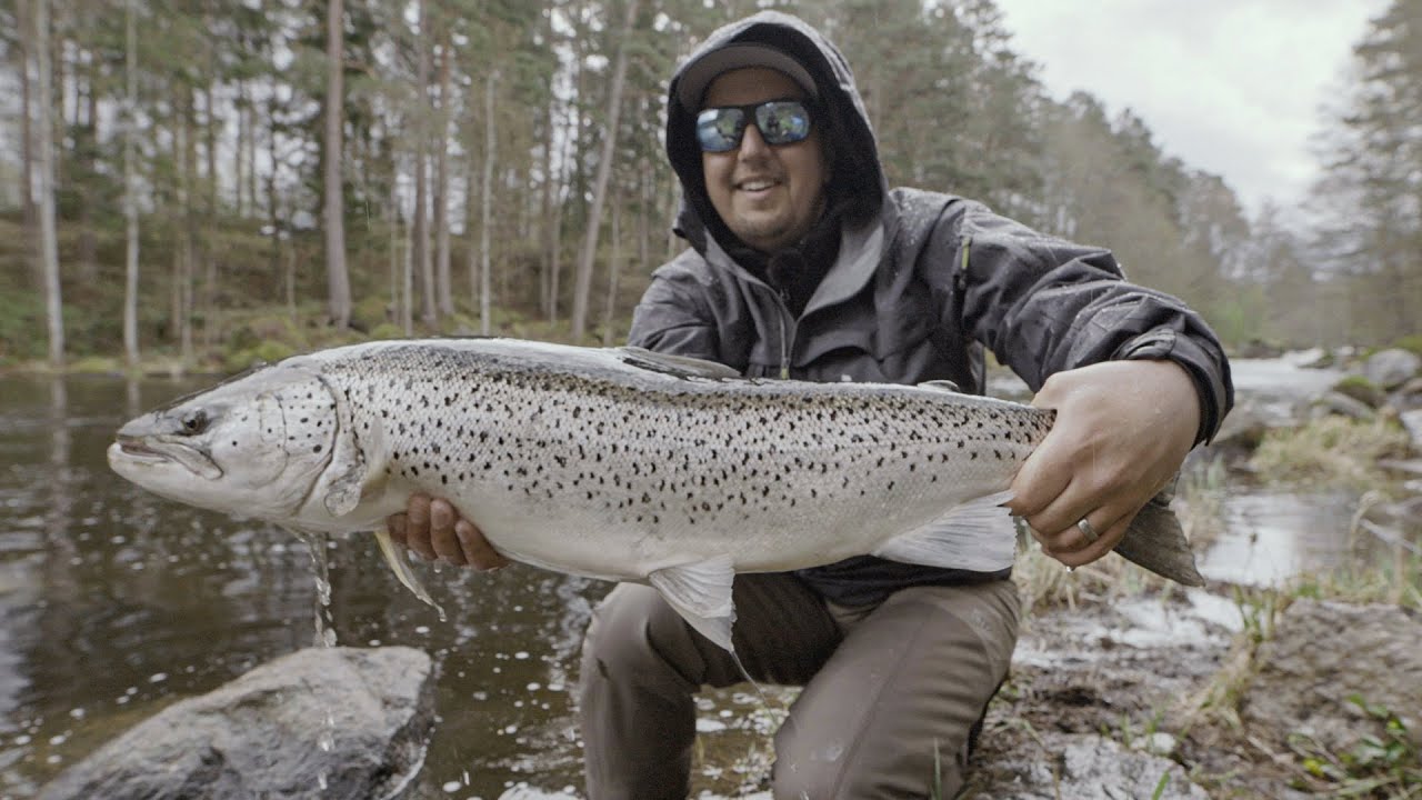 Gator Fly Rods Testing in Kungsådran!