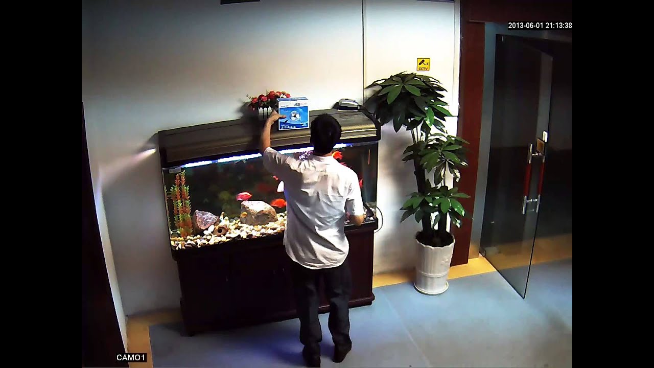ENSTER 1 3MP IP Camera