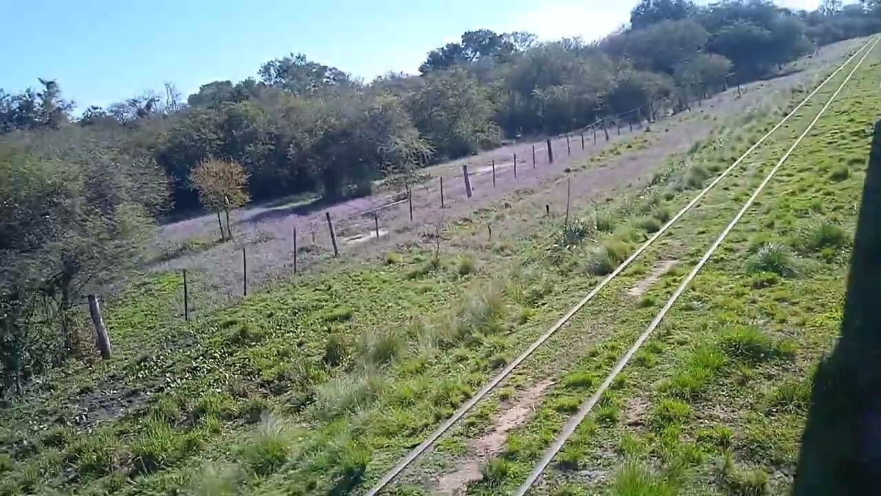 Va Crujiendo por las Vias el Pesado Tren, Desafiando a los Montes y los Esteros del Chaco,